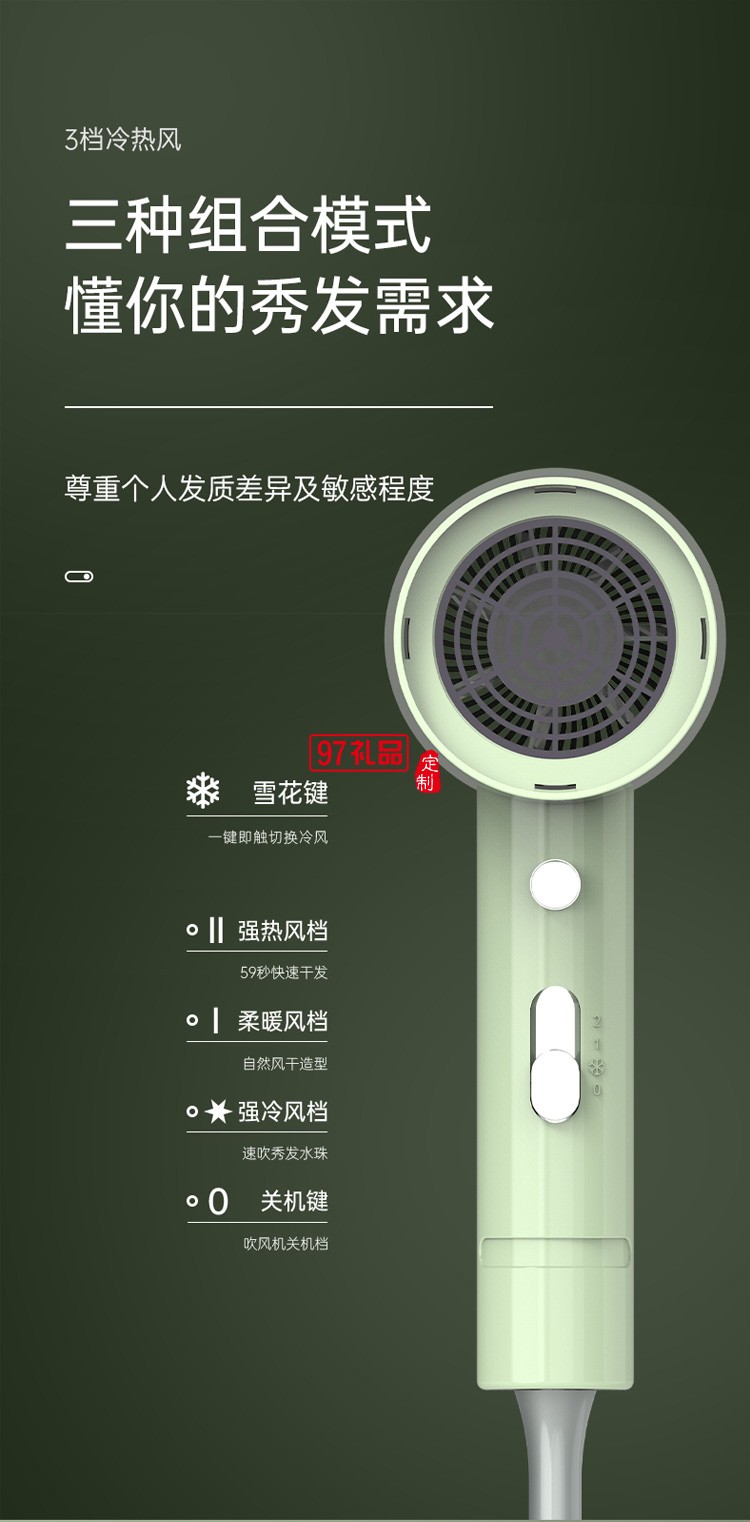電吹風(fēng)機高速家用大功率負(fù)離子護(hù)發(fā)吹頭發(fā)定制公司廣告禮品